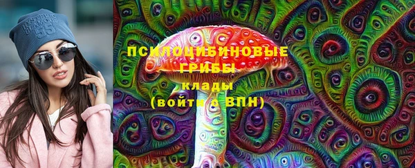 соль ск Иннополис